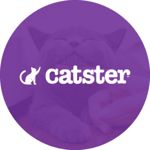 Catster icon