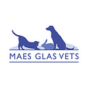 Maes Glas Vets - Bridgend