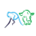 Kingston Vets, Grove Dene