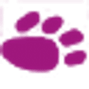 Eastcott Veterinary Referrals