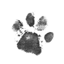 Milan Veterinary Clinic, Douglas